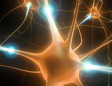 ALS Research