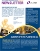 Spring Newsletter 2009