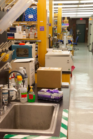 Lab Photo One