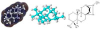 molecule