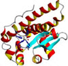 superoxide dismutase