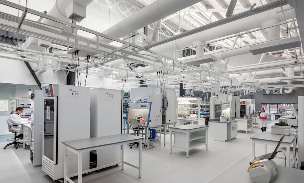 Lab Image 1