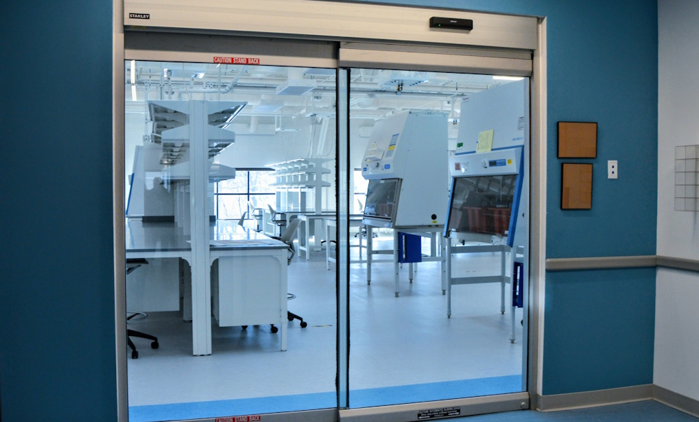 Lab Image 2