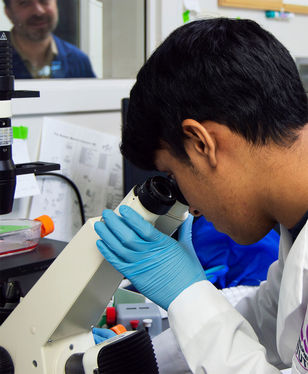 Champion Insights matter