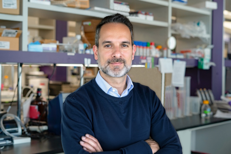 Fernando Vieira, M.D.