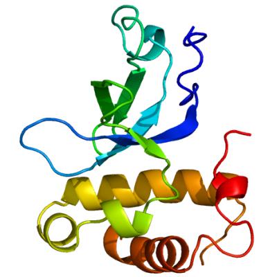 DNMT3a DNA methyltransferase epigenetics ALS
