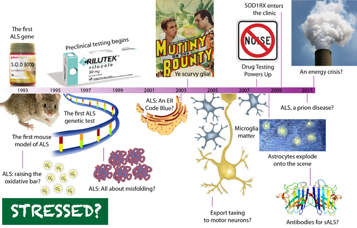 ALS MND superoxide dismutase SOD1 fALS