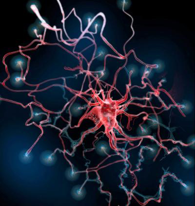 astrocyte als neuroinflammation neuroprotection stem cell