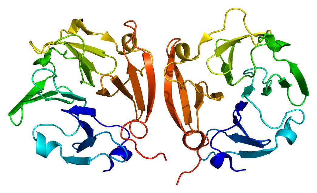 matrix metalloprotease 9 MMP-9 MMP9 ALS MND