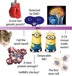 C9ORF72 RNA foci repeat expansion motor neuron ALS MND FTD FTLD timeline