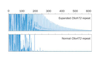 C9ORF72 Rademakers RNA foci repeat expansion motor neuron ALS MND FTD FTLD