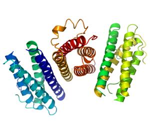 G-CSF granulocyte colony macrophage stimulating factor als mnd