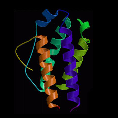 IL2 interleukin 2 regulatory T cell ALS MND