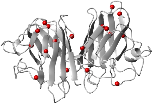 SOD1 superoxde dismutase 1 als mnd