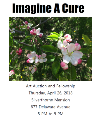 Imagine a Cure