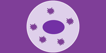 Oxidative Stress