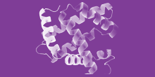 Protein Processing