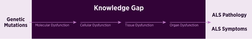 Translational Research Knowledge Gap